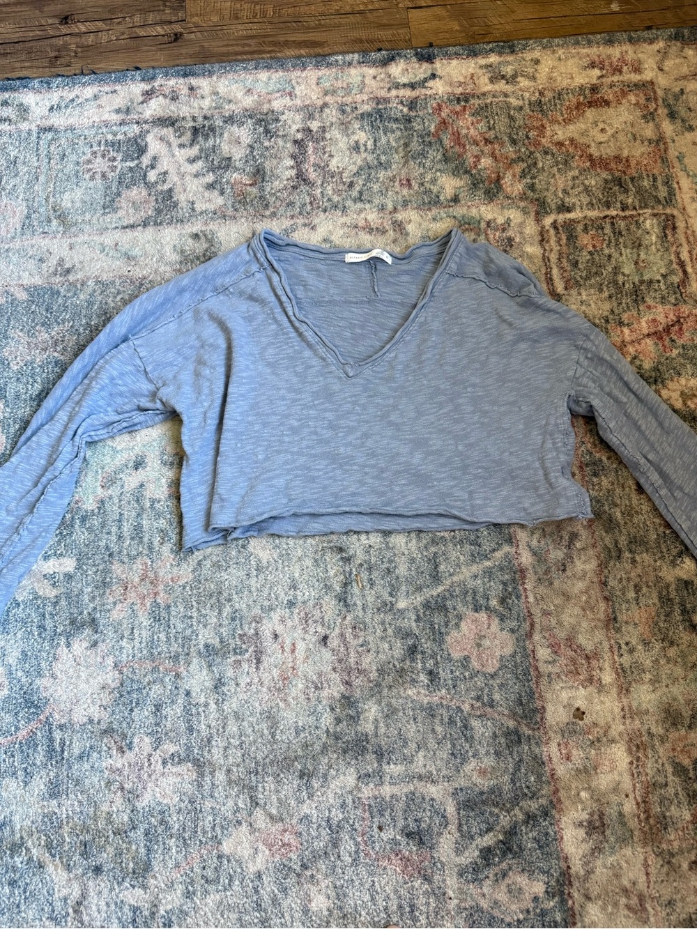 Altar'd State Light Blue Cropped V-Neck Long Sleeve Top